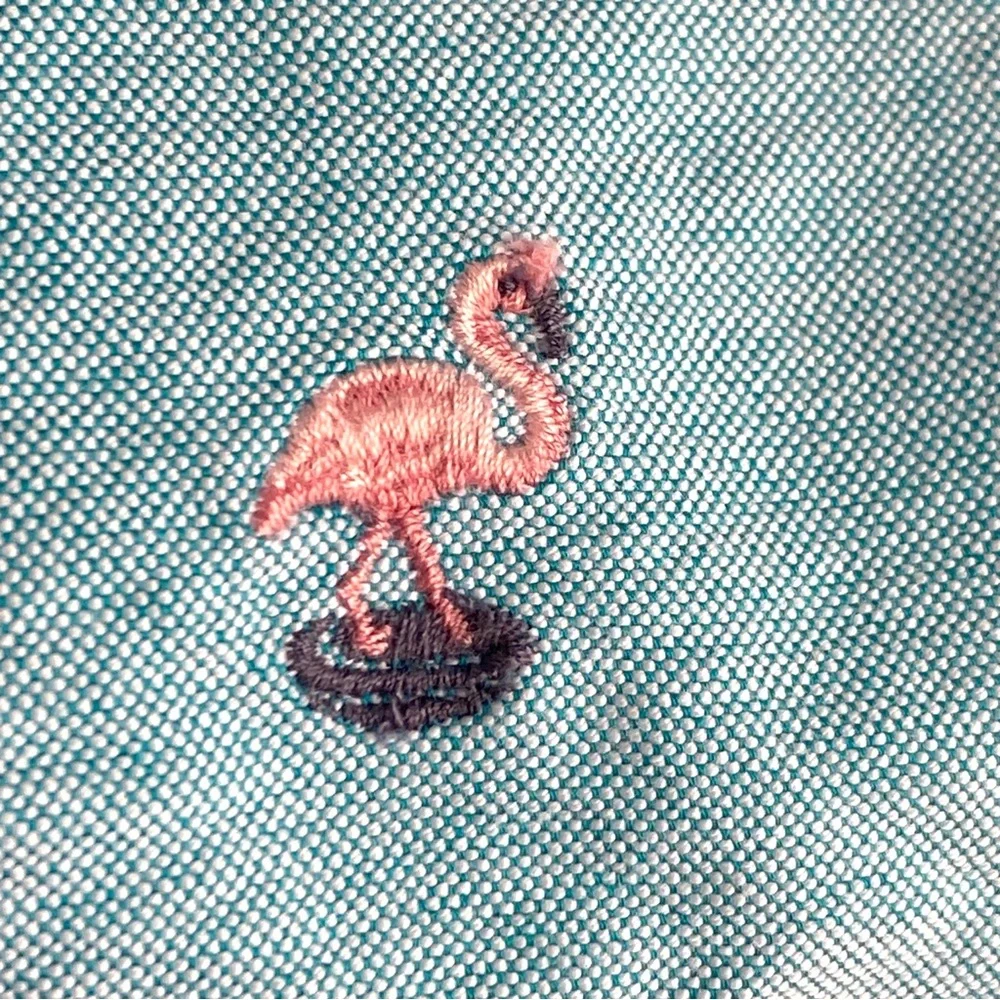 J. Crew Men’s Shorts Chino Flamingo Light Blue Turquoise Embroidered 40 Preppy
